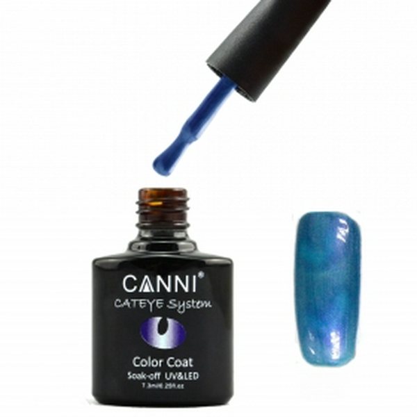 Гель лак CANNI cat eye №282