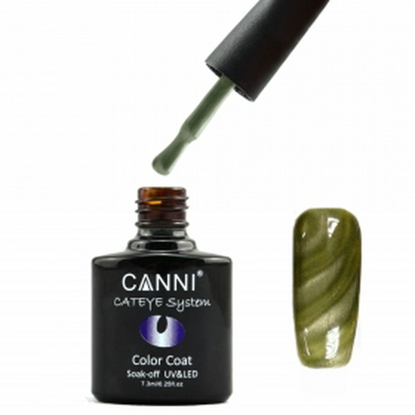 Гель лак CANNI cat eye №285
