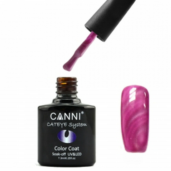 Гель лак CANNI cat eye №289