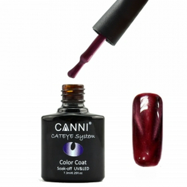 Гель лак CANNI cat eye №290