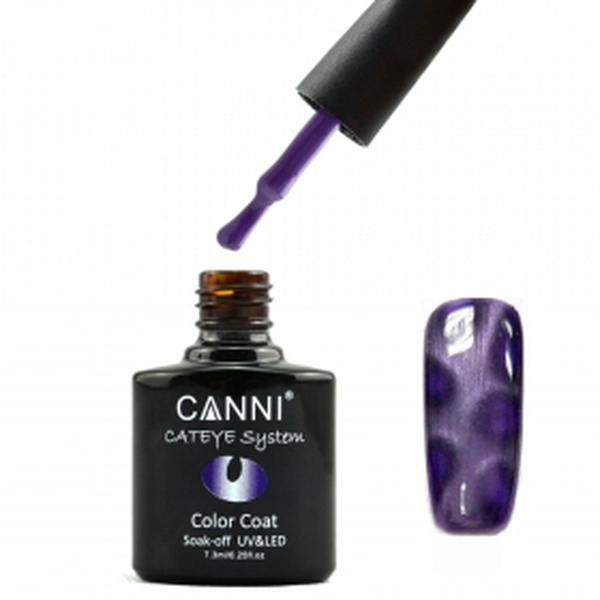Гель лак CANNI cat eye №291