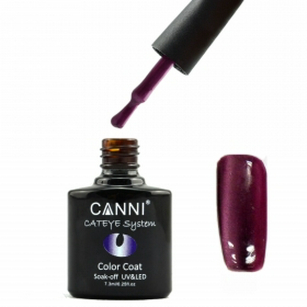 Гель лак CANNI cat eye №295